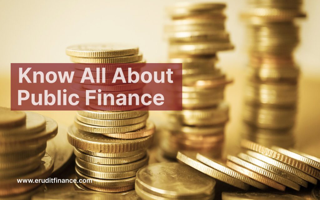 Public Finance Meaning (6 Types Explained)