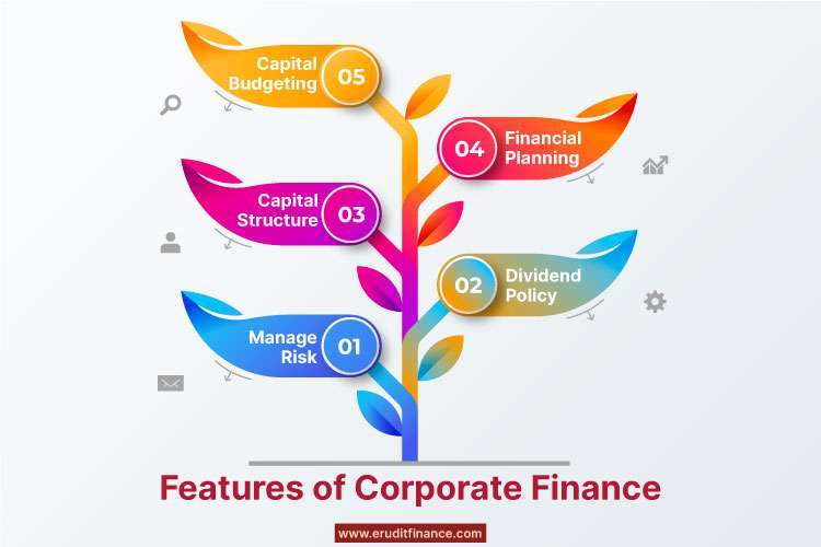 Features of Corporate Finance