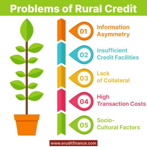 Problems of Rural Credit in India