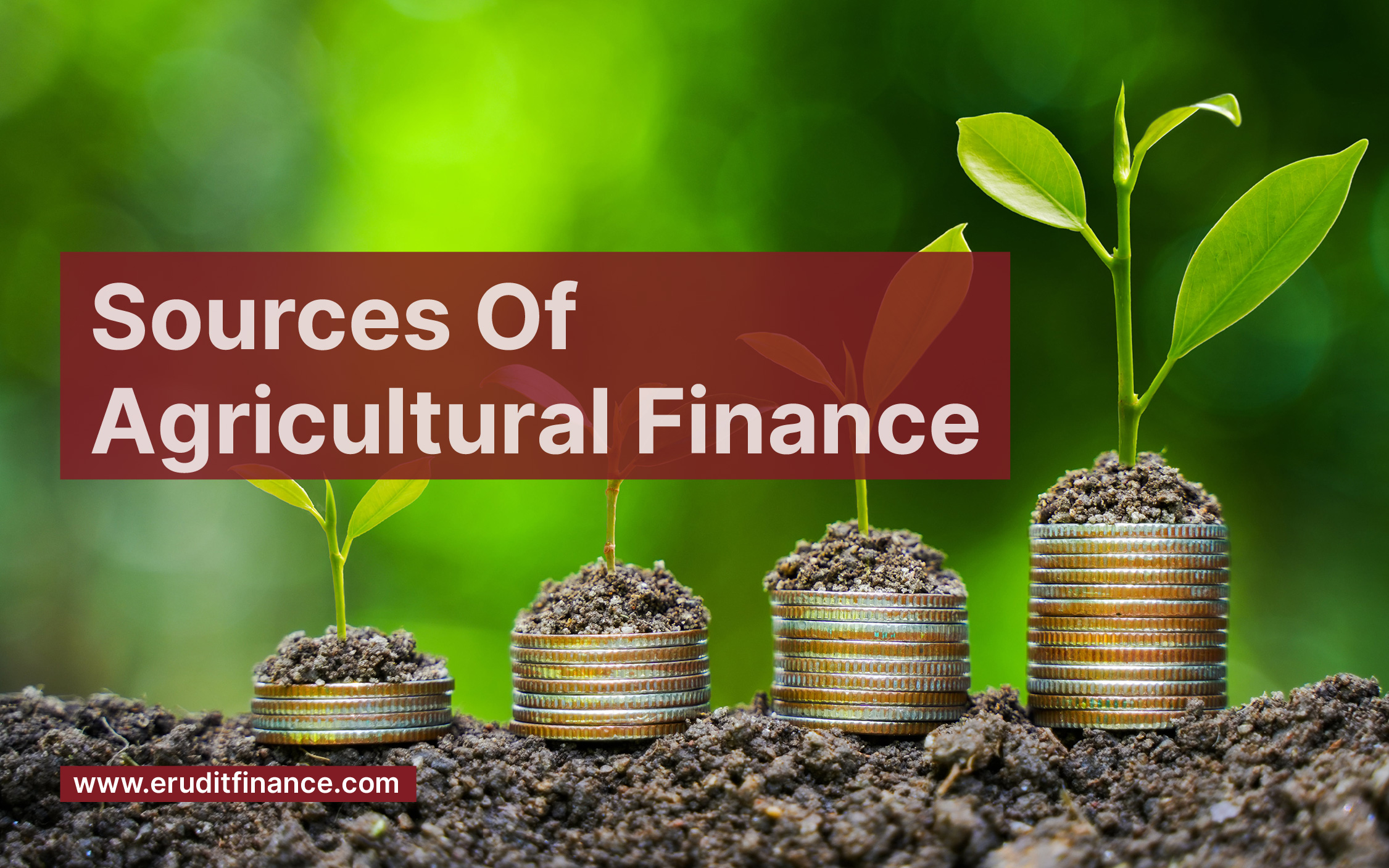 Source Of Agriculture Finance