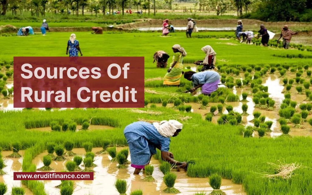 Non Institutional Sources Of Rural Credit 9 Sources Explained